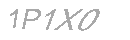 Güvenlik Kodu