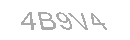 Güvenlik Kodu