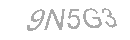 Güvenlik Kodu