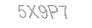 Güvenlik Kodu