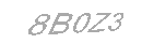 Güvenlik Kodu