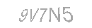 Güvenlik Kodu