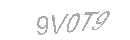 Güvenlik Kodu